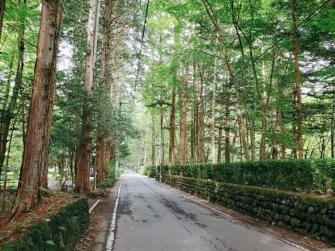 自転車で巡る旧軽井沢 公式 旧軽井沢 ホテル音羽ノ森 軽井沢ウエディング 結婚式なら